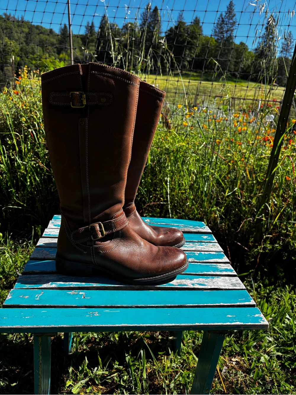 Eric Michael Montana Brown Leather Knee-High Heeled Boots
